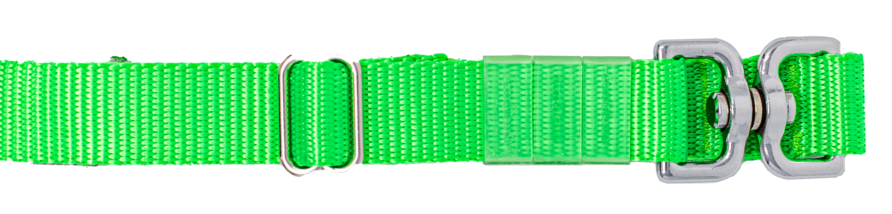 Green Leash