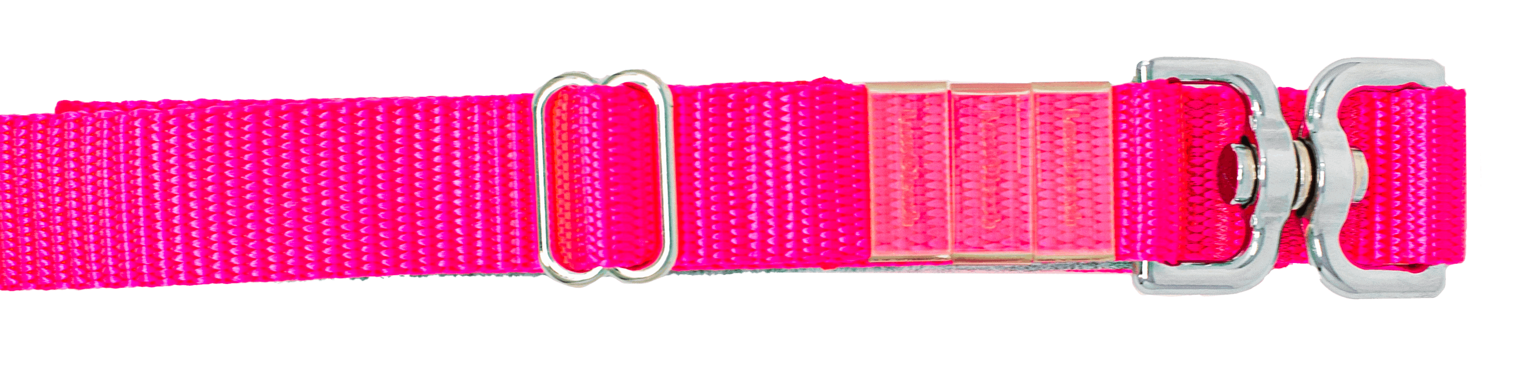 Pink Leash