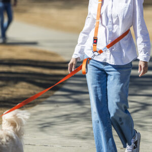 Hands Free Sling / Belt