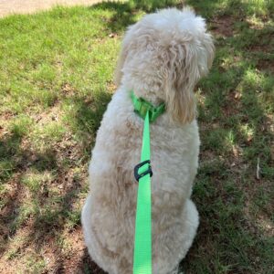 Traffic Control Hook