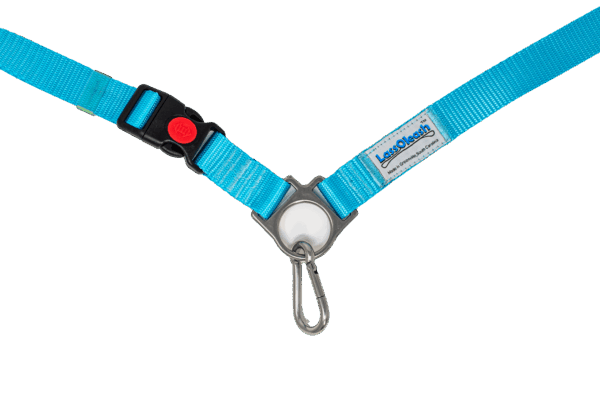Turquoise HandsFree