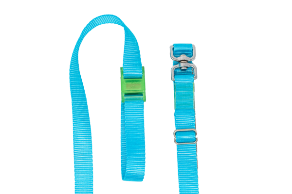 Turquoise LassOleash