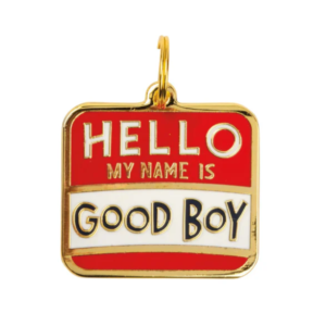 Hello My Name Is Good Boy Collar Charm